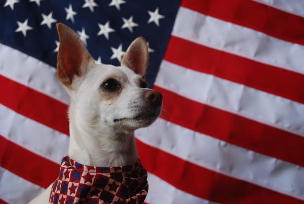 /Images/uploads/Humane Society of Utah/HSUCalendar/entries/1019thumb.jpg